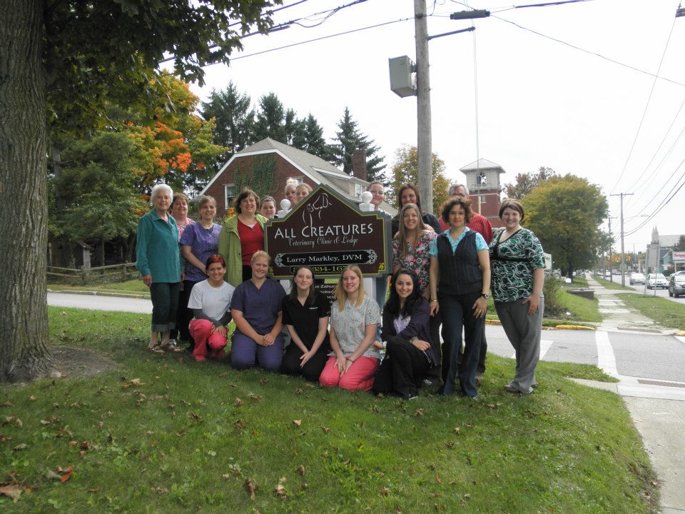 All Creatures Veterinary Clinic & Lodge | 249 High St, Wadsworth, OH 44281, USA | Phone: (330) 925-4910