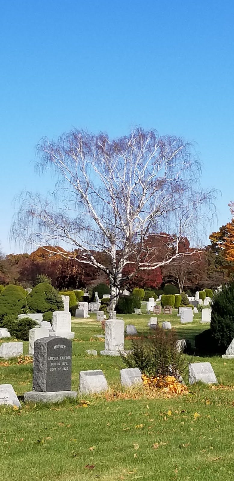 Greenfield Cemetery | 650 Nassau Rd, Uniondale, NY 11553, USA | Phone: (516) 483-6500