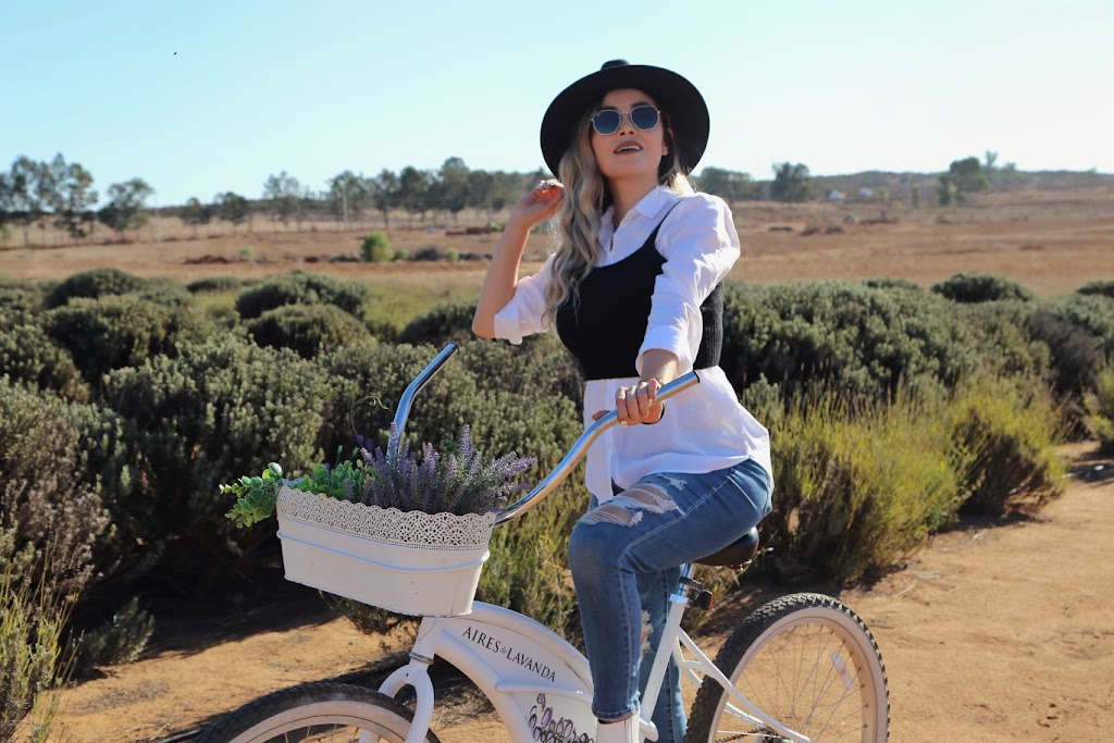 Aires de Lavanda | Carretera El Tigre Km 3.5, San Antonio de las Minas, 22320 Ensenada, B.C., Mexico | Phone: 646 117 0453