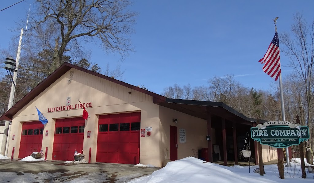 Lily Dale Volunteer Fire Station | 17 East St, Lily Dale, NY 14752, USA | Phone: (716) 595-3090