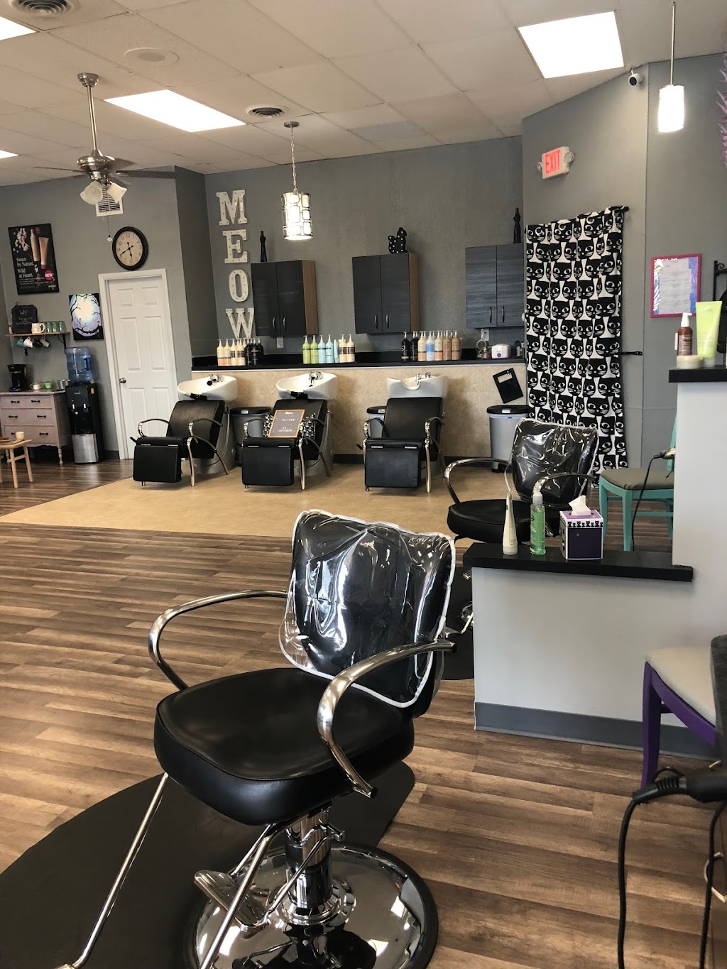 Salon Cattitude | 38119 Ann Arbor Rd, Livonia, MI 48150, USA | Phone: (734) 469-4154