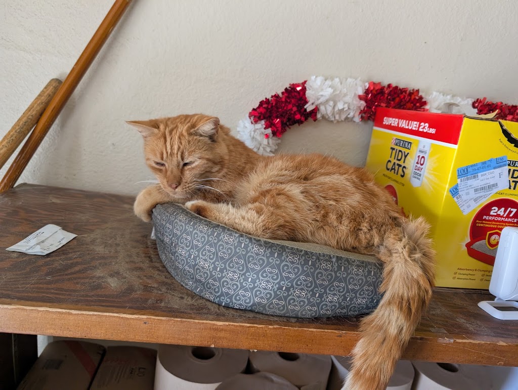 Escalon Mini-Mart | 1097 Yosemite Ave, Escalon, CA 95320, USA | Phone: (209) 838-1546