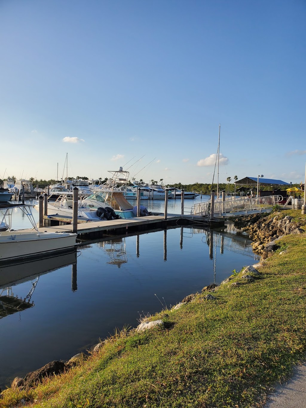 Suntex Marina at South Miami | 24777 SW 87th Ave, Homestead, FL 33032, USA | Phone: (305) 258-3500