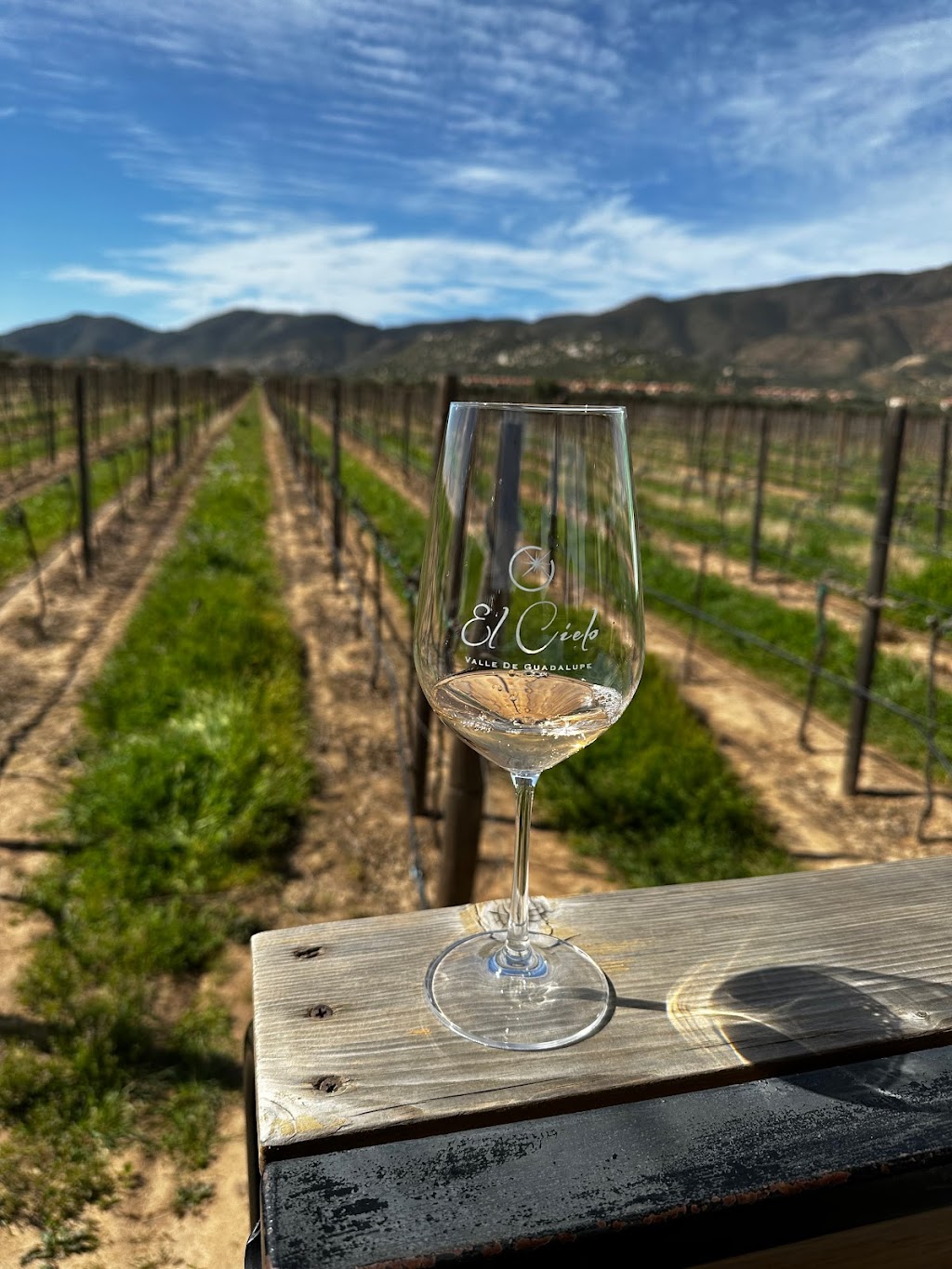 El Cielo Bodega Vinícola | Carretera Guadalupe - El Tigre Parcela 118, Km. 7.5 Valle de Guadalupe Valle de Guadalupe, 22755 Ensenada, B.C., Mexico | Phone: 646 151 6515