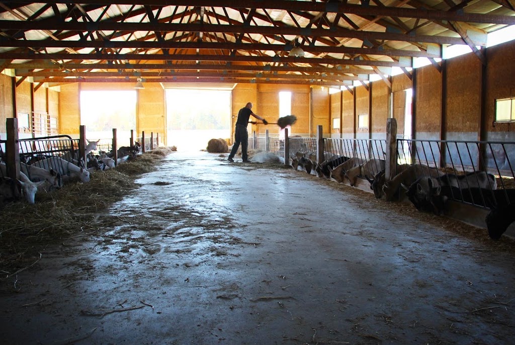 Poplar Hill Dairy Goat Farm | 12521 Mayberry Trail N, Scandia, MN 55073, USA | Phone: (651) 433-2684