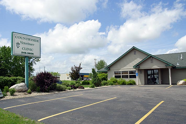 Countryside Veterinary Clinic | 1231 N Knowles Ave, New Richmond, WI 54017, USA | Phone: (715) 246-5606