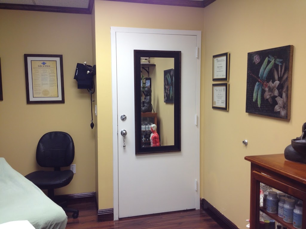 Theresa Gilmore, Licensed Acupuncturist | 9990 SW 77th Ave #208, Miami, FL 33156, USA | Phone: (305) 812-1844