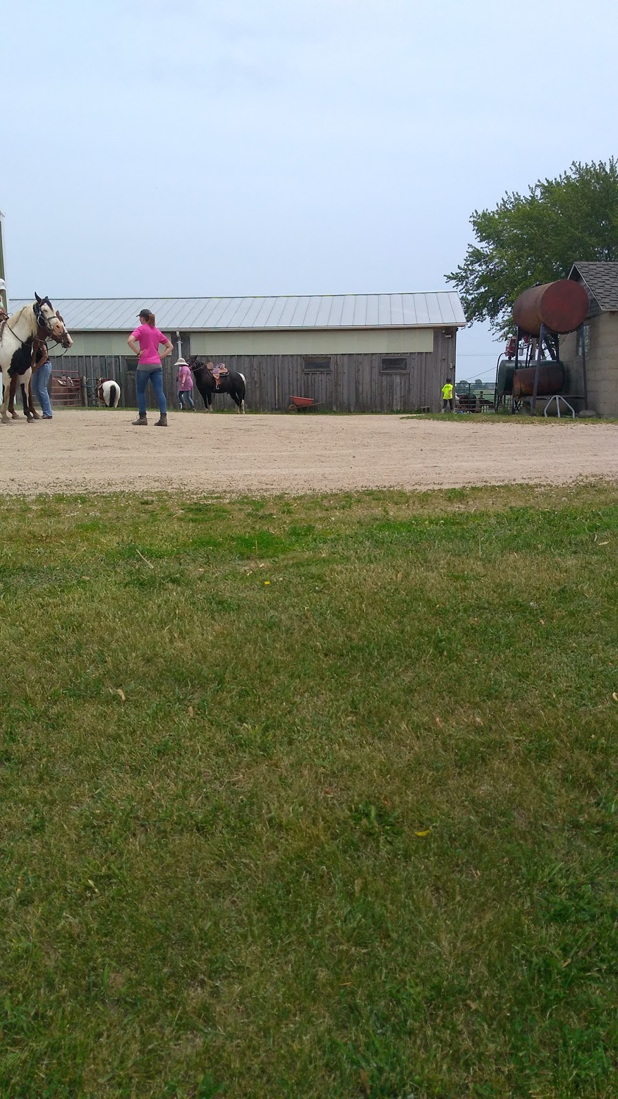 Appy Orse Acres | 1360 Willow Rd, Fredonia, WI 53021, USA | Phone: (262) 692-9144