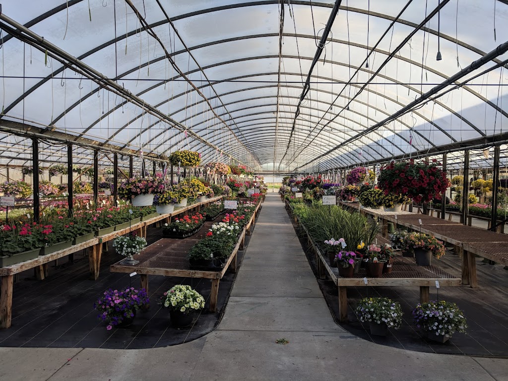 Keils Produce and Greenhouse | 3679 OH-2, Swanton, OH 43558, USA | Phone: (419) 825-1301