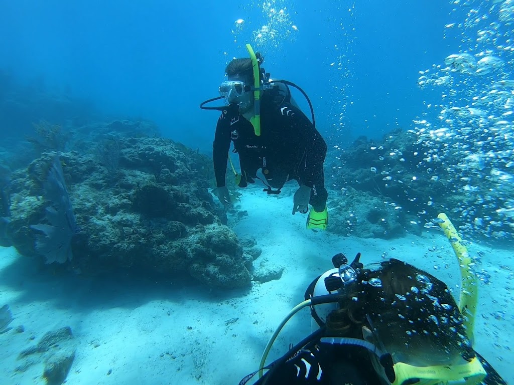 Scuba Swat | 30531 SW 163rd Ave, Homestead, FL 33033, USA | Phone: (786) 975-9657