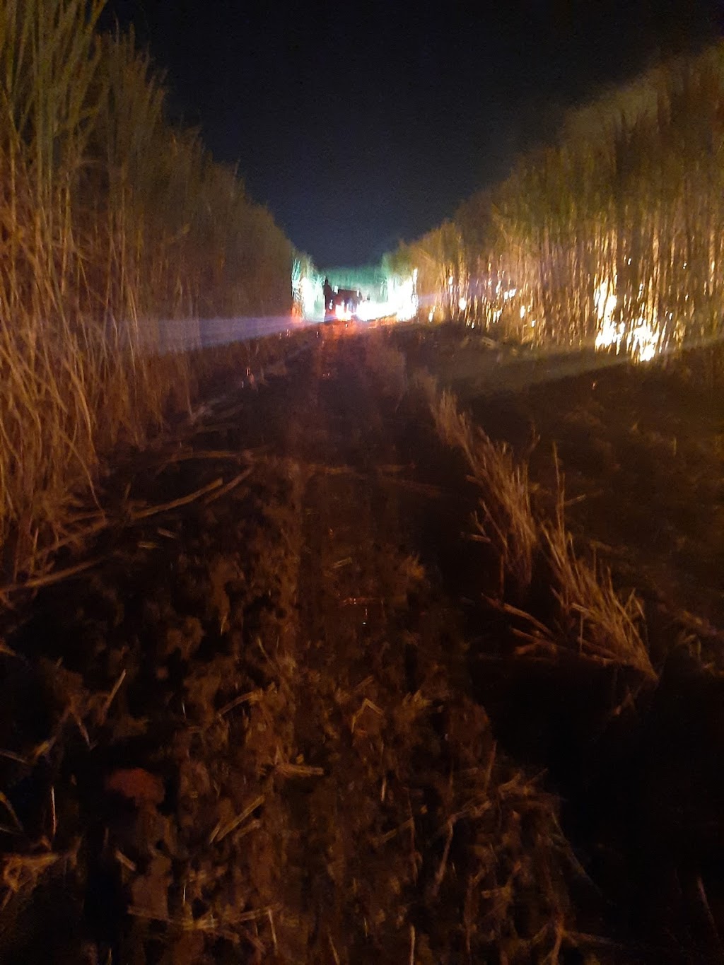 Catahoula Lake Fire Department | 4340 Catahoula Hwy, St Martinville, LA 70582, USA | Phone: (337) 394-4756