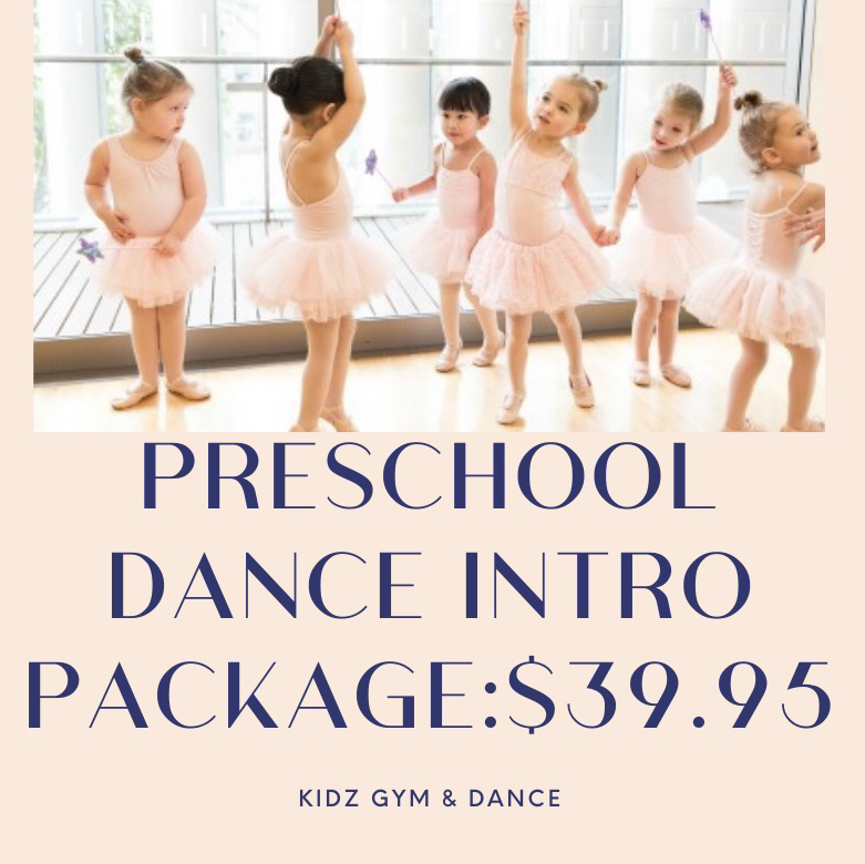 Kidz Gym & Dance/River Ballet Co. | 13+ Years In Business-1326, NJ-179, Lambertville, NJ 08530, USA | Phone: (609) 498-9351