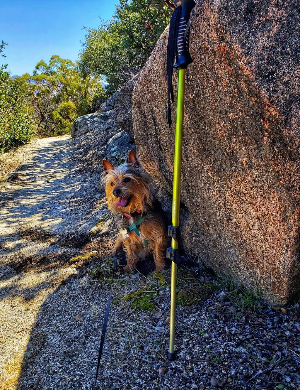 Ramona Trail 3E26 | Pines to Palms Hwy &, Ramona Trail, Mountain Center, CA 92561, USA | Phone: (909) 382-2921