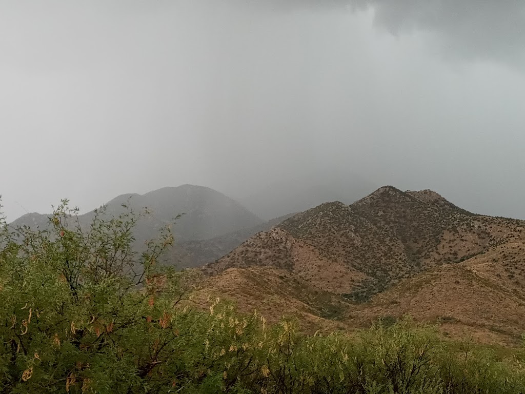 Coronado National Forest | Tucson, AZ 85701 | Phone: (520) 388-8300