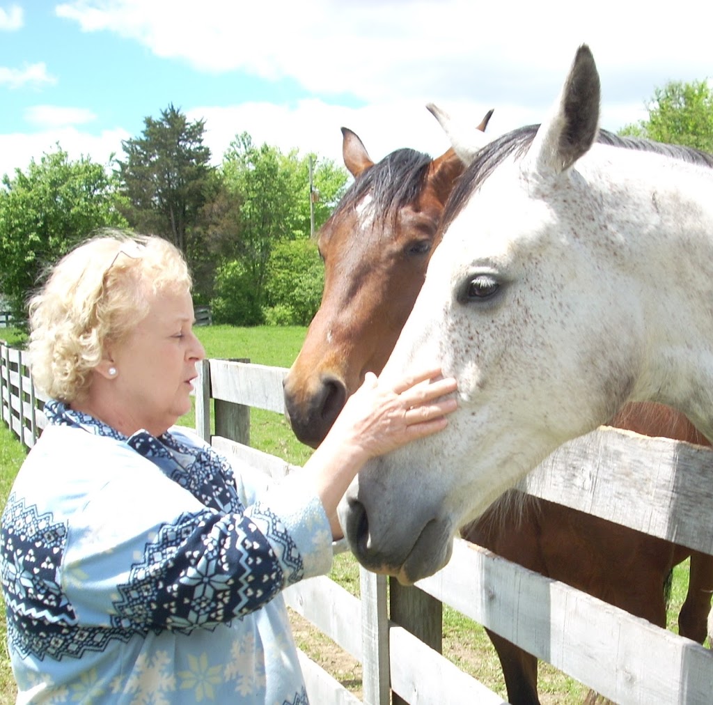 Equine Therapeutic Interaction and Reiki | The Sanctuary at Wild Rose Acres, Morgan Center Rd, Mt Vernon, OH 43050, USA | Phone: (740) 507-7718