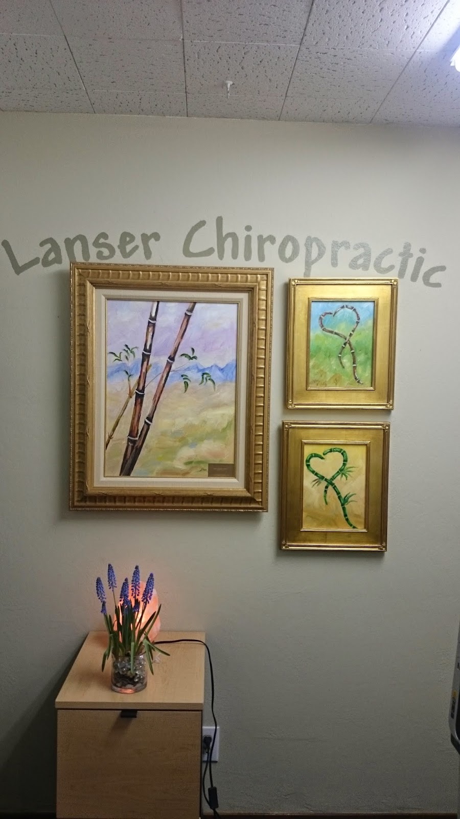 Lanser Chiropractic | 990 W Fremont Ave p, Sunnyvale, CA 94087, USA | Phone: (408) 245-5454