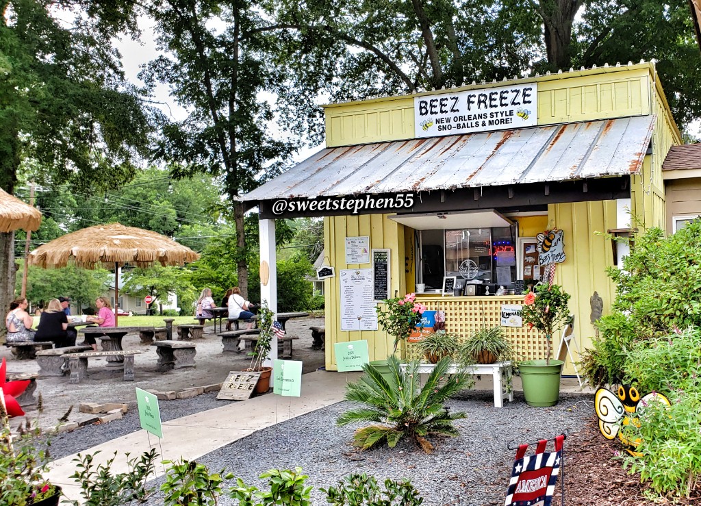 Beez Freeze | 75 Main St, Senoia, GA 30276, USA | Phone: (770) 502-5291