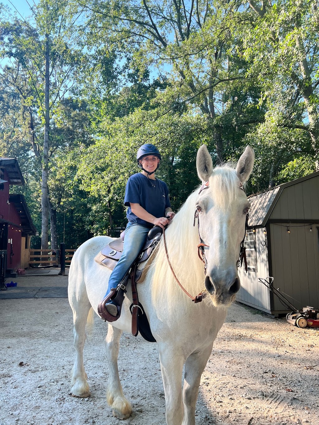 New London Farm | 3935 Lee Rd, Snellville, GA 30039, USA | Phone: (404) 849-9305