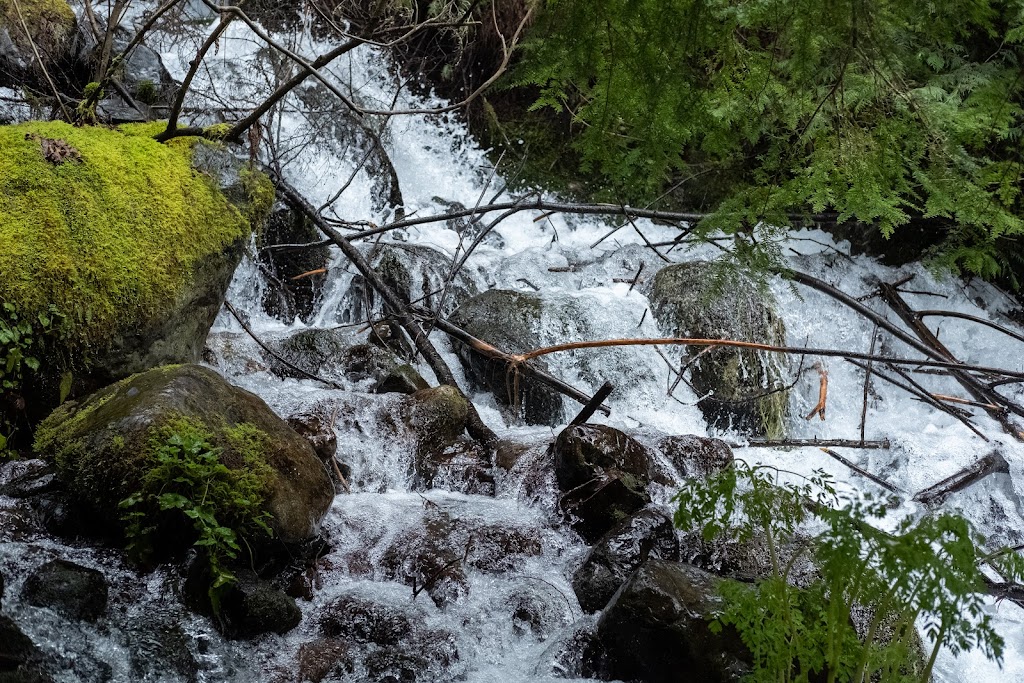 Green River Gorge Resort | 29500 SE Green River Gorge Rd, Enumclaw, WA 98022, USA | Phone: (360) 886-7997