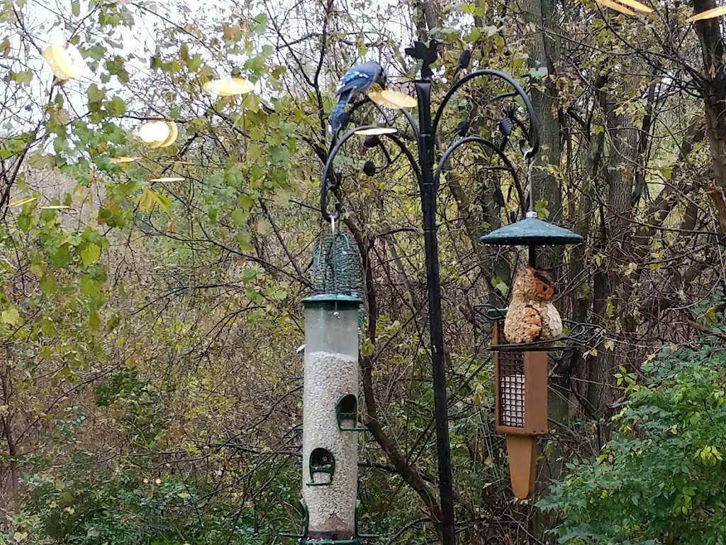 Sterling Heights Nature Center In 42700 Utica Rd, Sterling Heights, MI ...