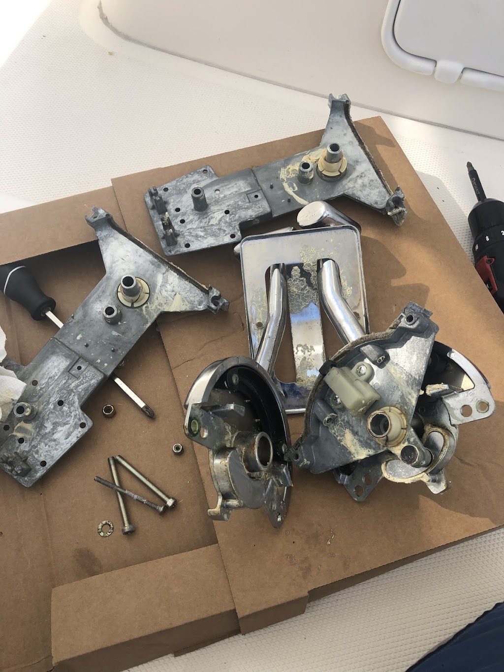 Salty Paws Charters and Marine Mechanical LLC | 6528 Walter Reed Dr, Gloucester, VA 23061, USA | Phone: (804) 832-7382