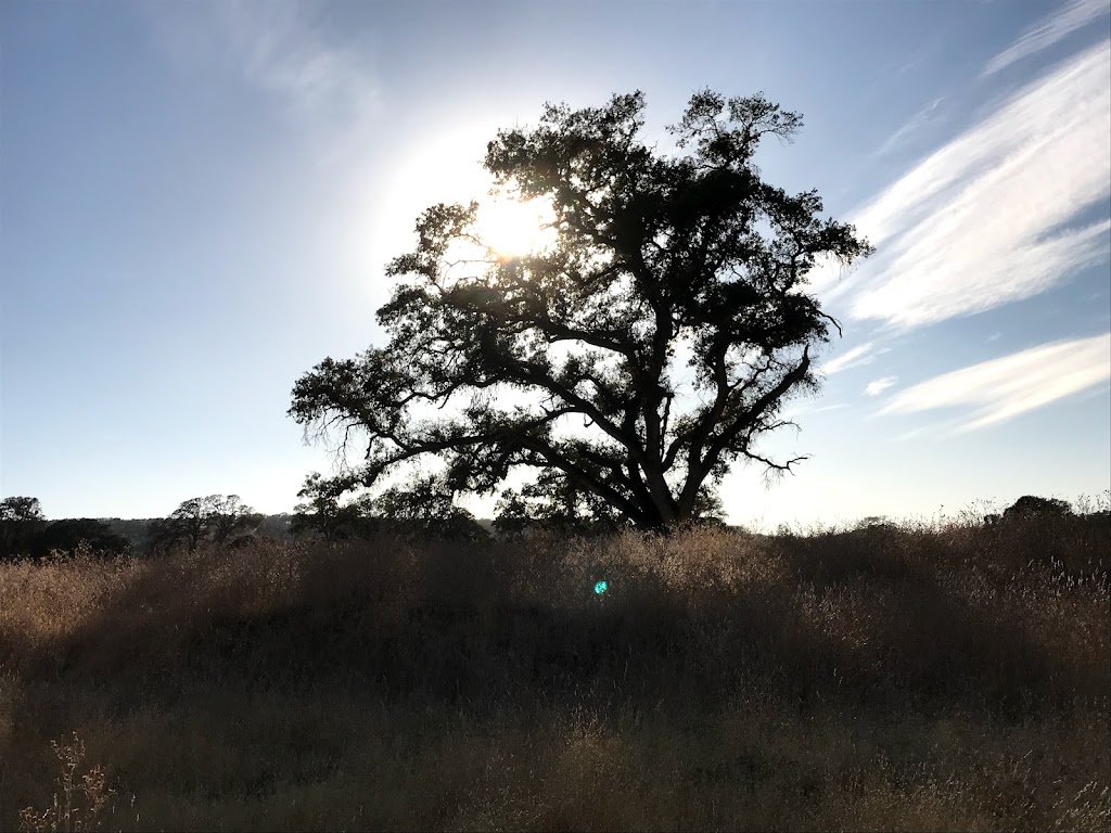 Spenceville Wildlife Area | 14936 Spenceville Rd, Penn Valley, CA 95946, USA | Phone: (530) 538-2236