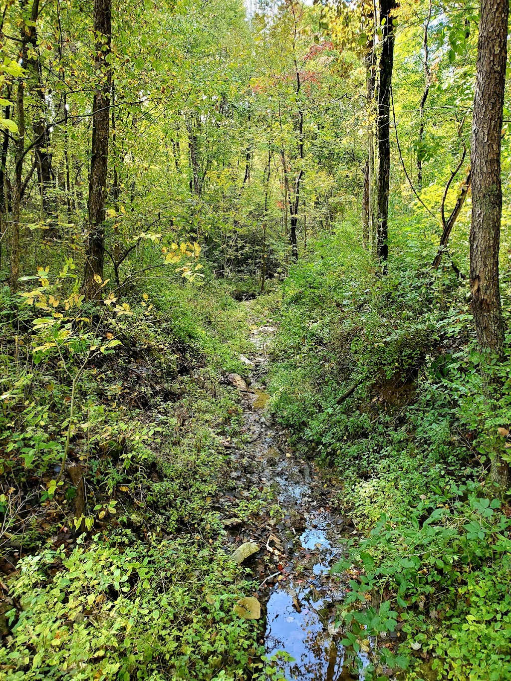 Holbrook Hollows | 7250 Country Ln, Chagrin Falls, OH 44023, USA | Phone: (440) 286-9516 Holbrook Hollows | 7250 Country Ln, Chagrin Falls, OH 44023, USA | Phone: (440) 286-9516