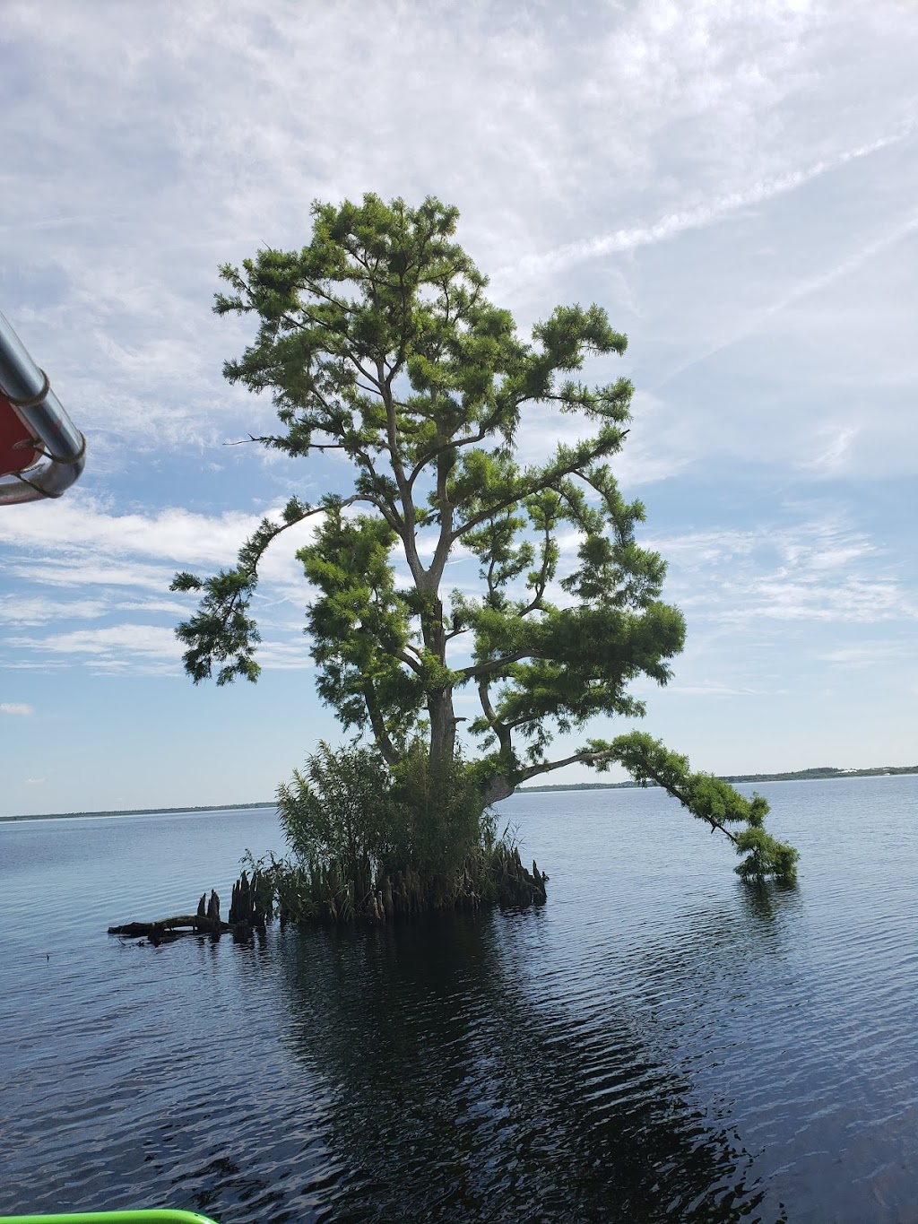 Grasshopper Airboat Eco-Tours | 8190 W King St, Cocoa, FL 32926, USA | Phone: (321) 631-2990