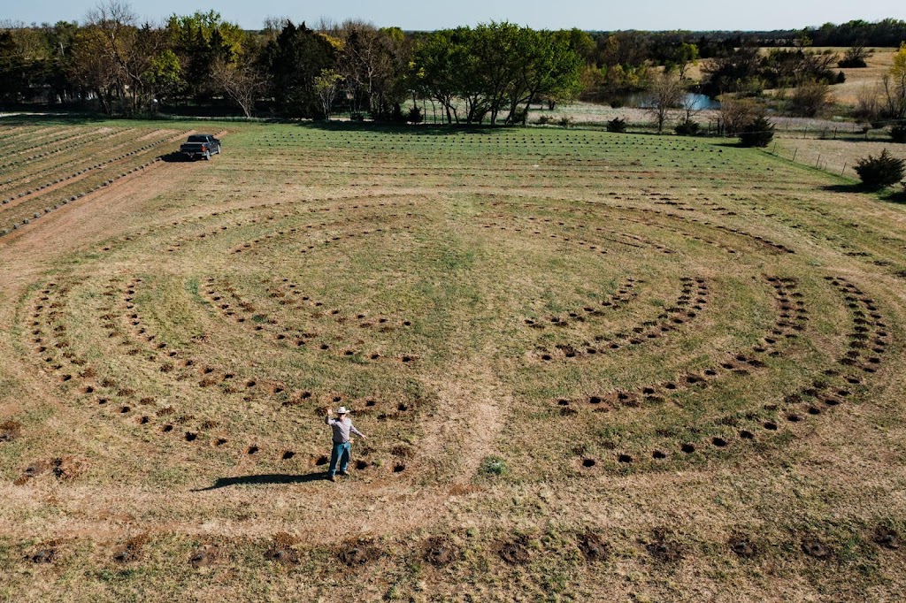 Four Sisters Farm Lavender | 6566+, SW 160th St, Douglass, KS 67039, USA | Phone: (316) 249-7614