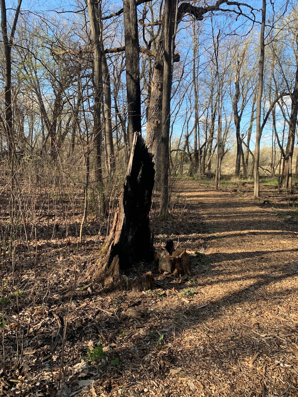 Lion’s Park at Hay Lake | 14001 Old Marine Trail N, Marine on St Croix, MN 55047, USA | Phone: (651) 433-2274