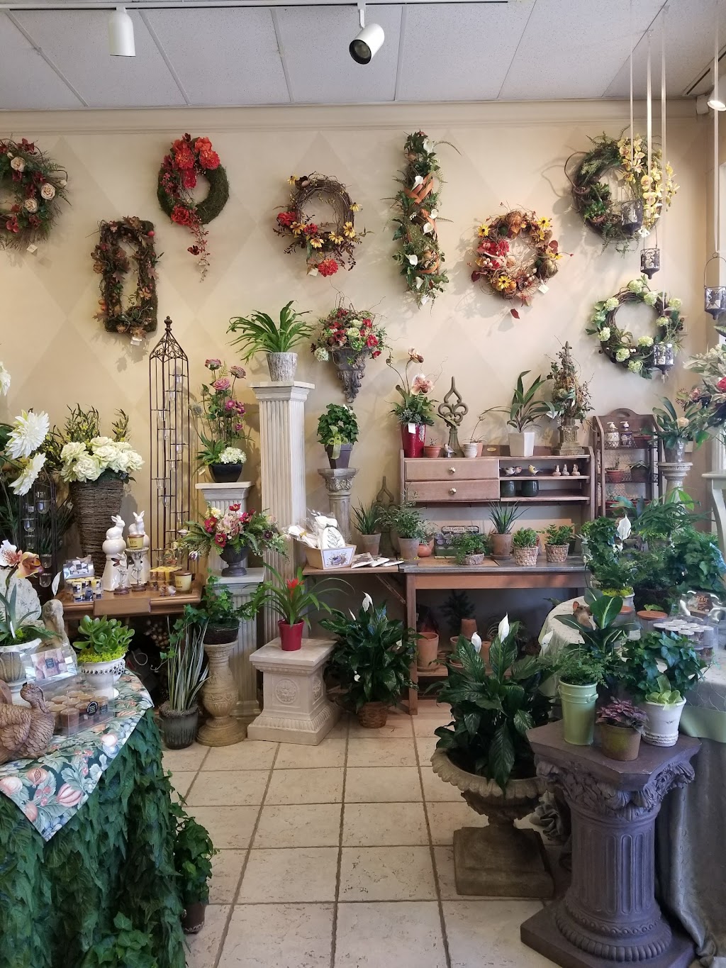 Botanica Flowers and Gifts | 2130-L, New Garden Rd, Greensboro, NC 27410, USA | Phone: (336) 288-1908