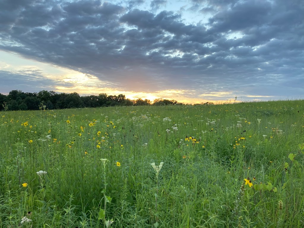 Ice Age Trail Junction Area | 7701 McKee Rd, Verona, WI 53593, USA | Phone: (608) 224-3730