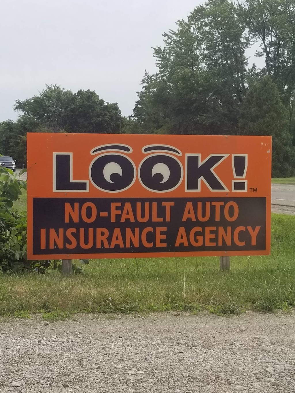 Look Insurance | 645 Sumpter Rd, Belleville, MI 48111 | Phone: (734) 697-5665