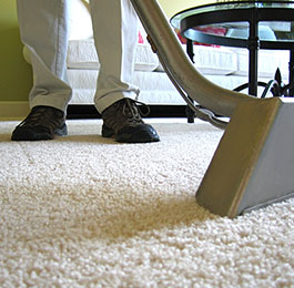 Carpet Cleaning St Petersburg | 7100 Sunshine Skyway Ln S, St. Petersburg, FL 33711, USA | Phone: (727) 493-5080