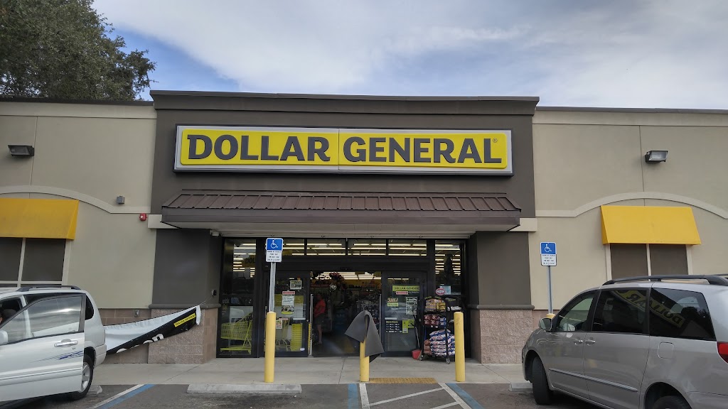 Dollar General | 12909 N 56th St, Temple Terrace, FL 33617 | Phone: (813) 291-4200
