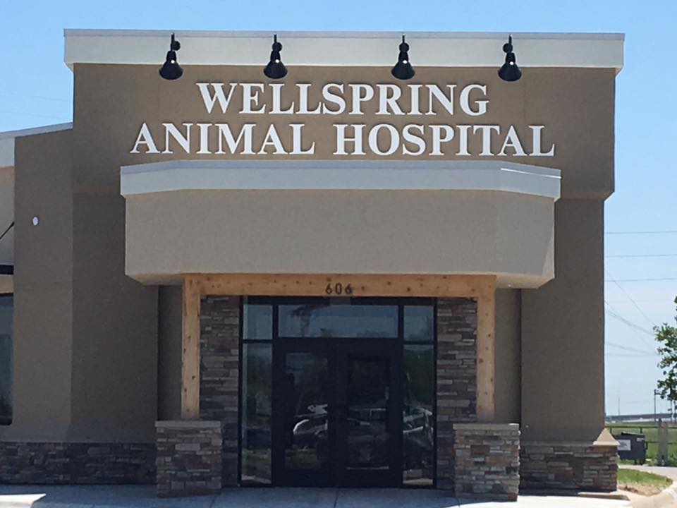 Wellspring Animal Hospital | 606 N Winterset St, Wichita, KS 67212, USA | Phone: (316) 942-1002