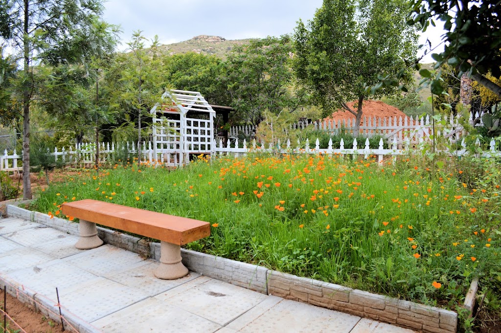 Rancho La Divina Misericordia | Unnamed Road, 21503 B.C., Mexico | Phone: 665 655 9325