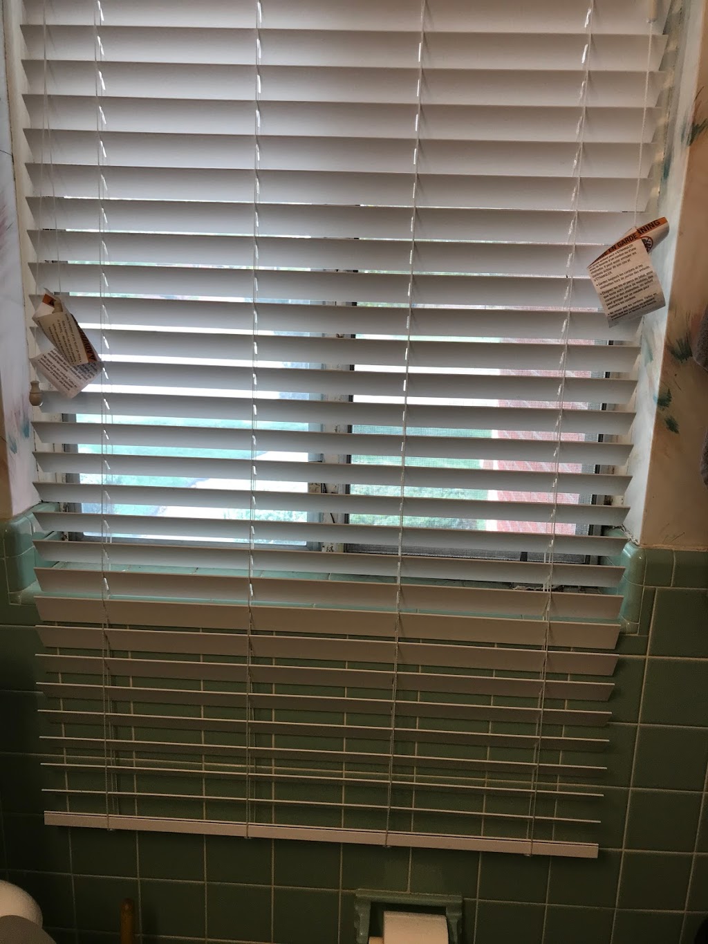 Vision Blinds & Shade Repairs | 33901 Colfax St, Farmington Hills, MI 48335, USA | Phone: (734) 800-9927