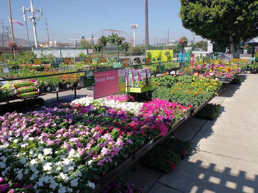 Armstrong Garden Centers | 5816 San Fernando Rd, Glendale, CA 91202, USA | Phone: (818) 243-4227