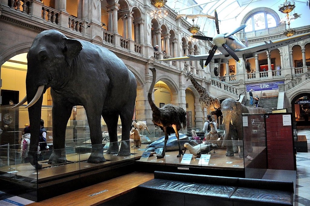 Kelvingrove Art Gallery and Museum | Argyle St, Glasgow G3 8AG, UK | Phone: 0141 276 9599