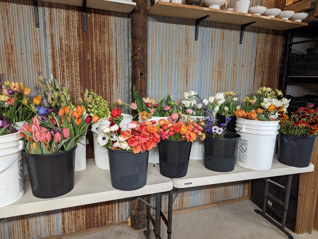 Artemis Flower Farm | 8104 N 63rd St BARN, Longmont, CO 80503, USA | Phone: (720) 569-6341