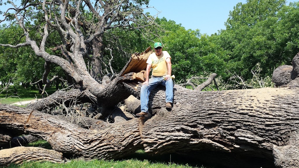 Yegua Creek Farms Pecan Orchard | 4600 Co Rd 467, Elgin, TX 78621, USA | Phone: (512) 856-0192