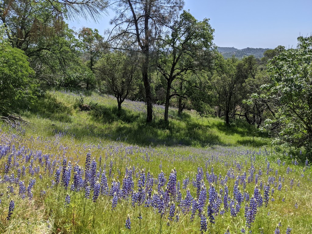 Griffith Quarry Park & Museum | 7504 Rock Springs Rd, Penryn, CA 95663, USA | Phone: (530) 889-6500