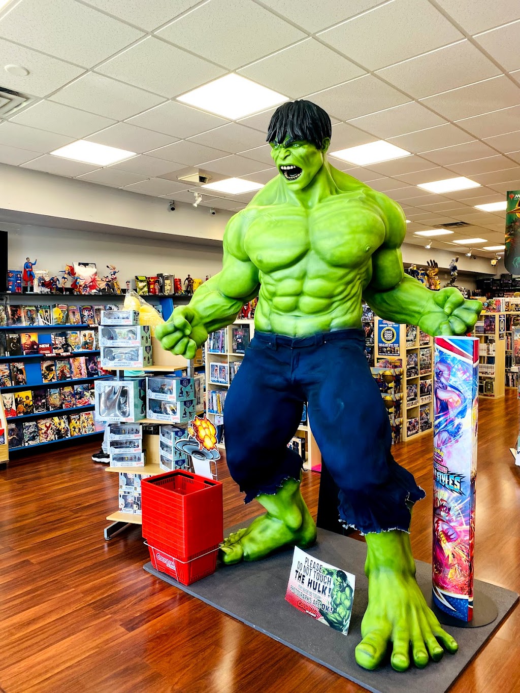 Coliseum of Comics New Tampa | 19402 Bruce B Downs Blvd, Tampa, FL 33647, USA | Phone: (813) 528-8758