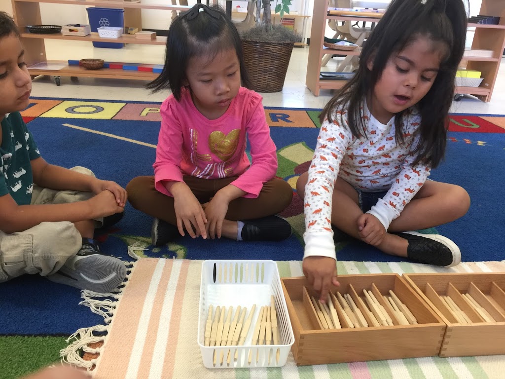 Chapman Montessori School | 11832 S Euclid St, Garden Grove, CA 92840, USA | Phone: (800) 587-0725