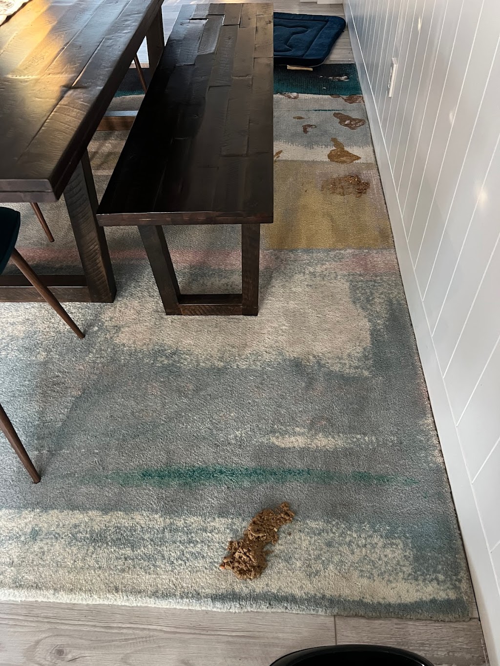 The Rug Specialists | 8848 Madison Ave Suite A, Fair Oaks, CA 95628, USA | Phone: (916) 348-7018