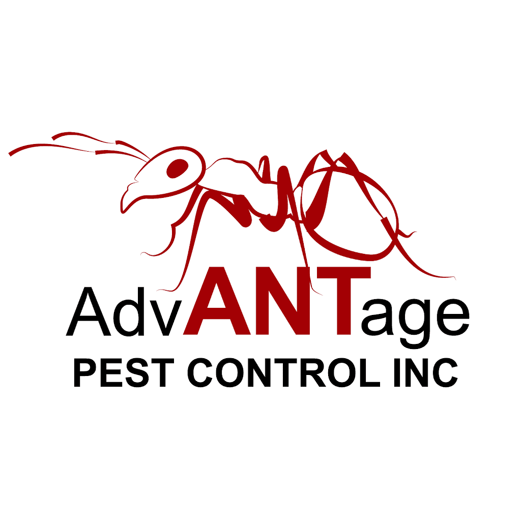 Advantage Pest Control, Inc. | 970 Reserve Dr #100, Roseville, CA 95678, USA | Phone: (916) 899-1222