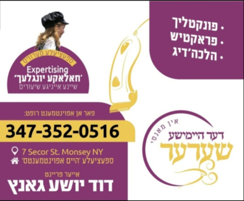 היימשע שערער | 7 Secor St, Monsey, NY 10952, USA | Phone: (347) 352-0516