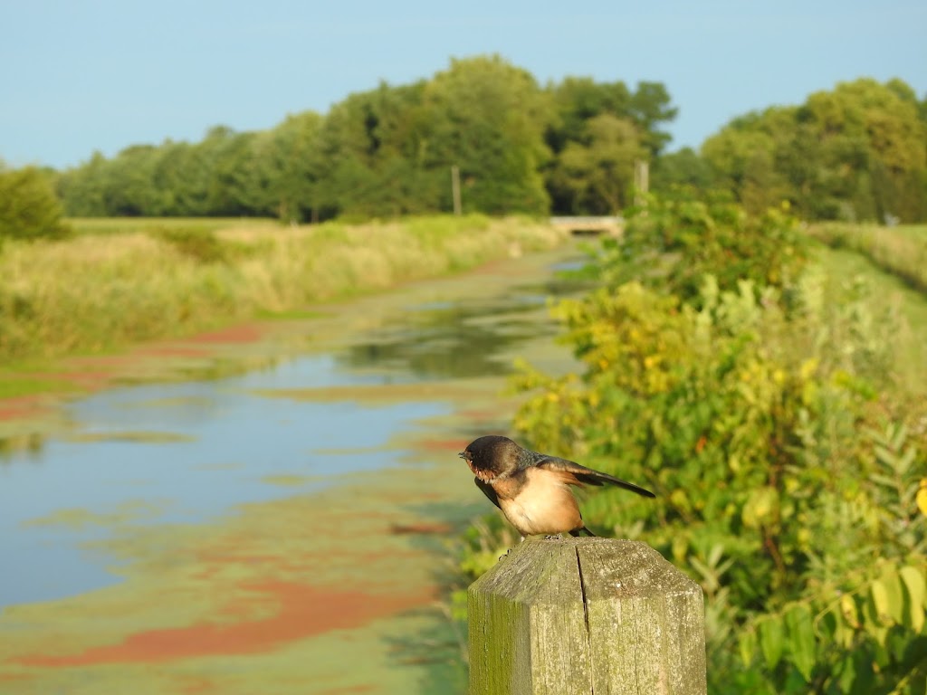 Benton Hydro ‒ River Preserve County Park | 67799 Co Rd 127, Goshen, IN 46526, USA | Phone: (574) 535-6458