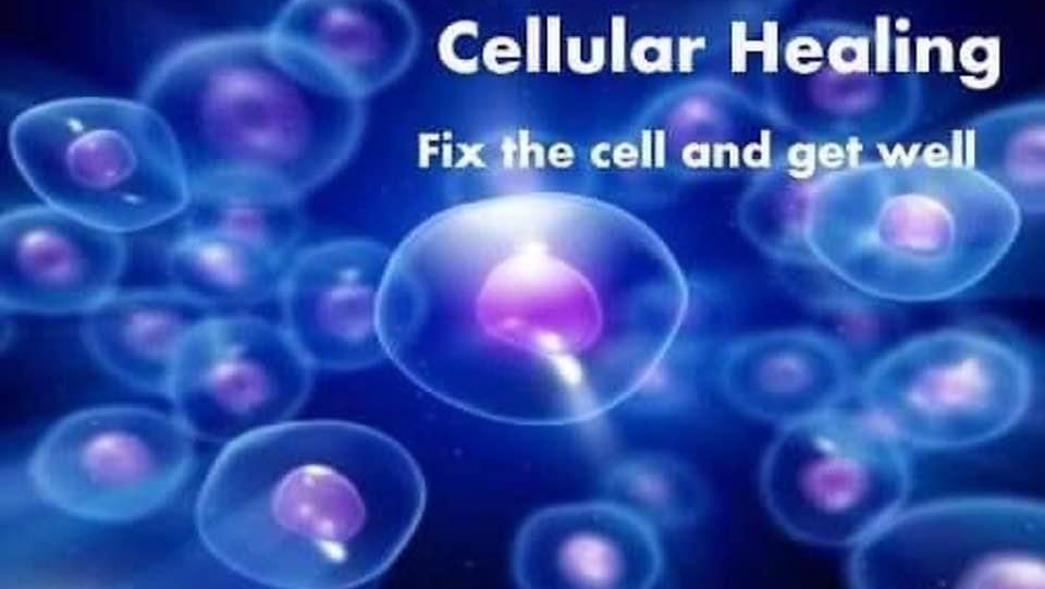 ASEA, Redox Signaling Molecules, NC | Cary, NC 27511, USA | Phone: (919) 368-3988